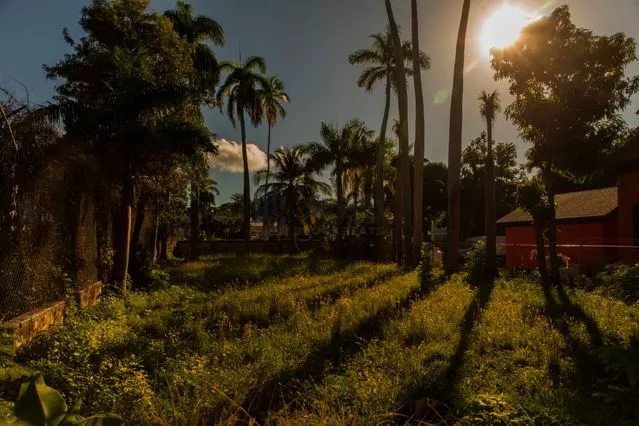 华尔街日报谈FTX溃败：金玉其外，败絮其中