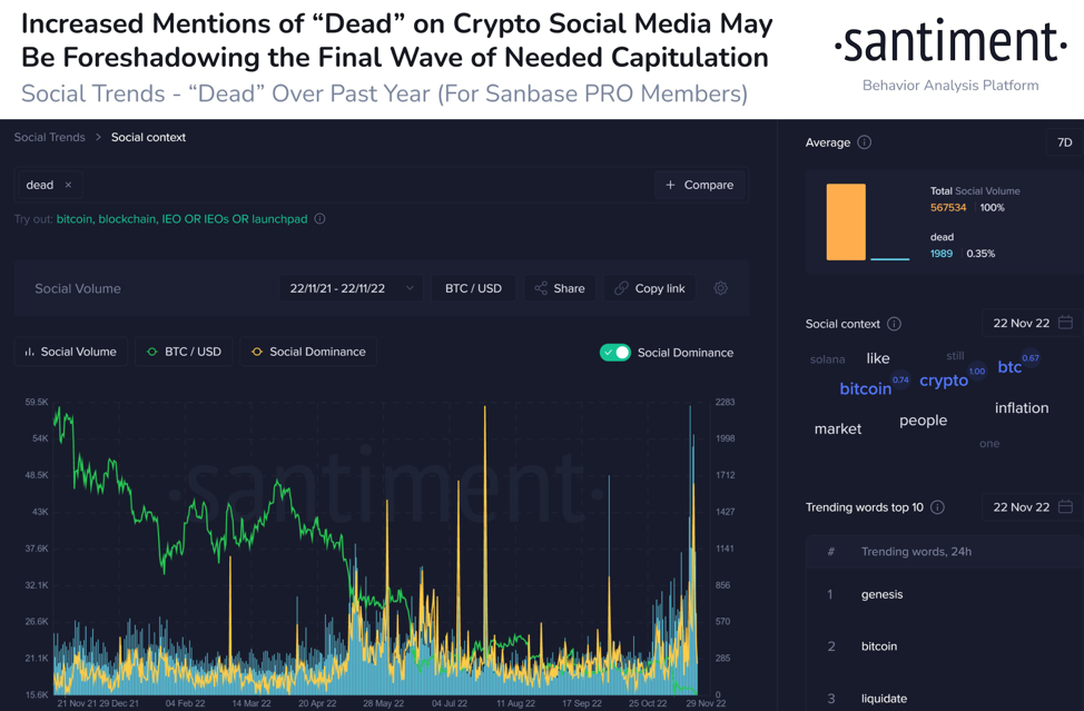 美聯儲釋放政策退坡信號，木頭姐唱多比特幣：“2030年漲到100萬美元”