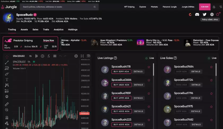 Cardano NFT生態速覽：有哪些值得關注的 NFT 項目和工具？