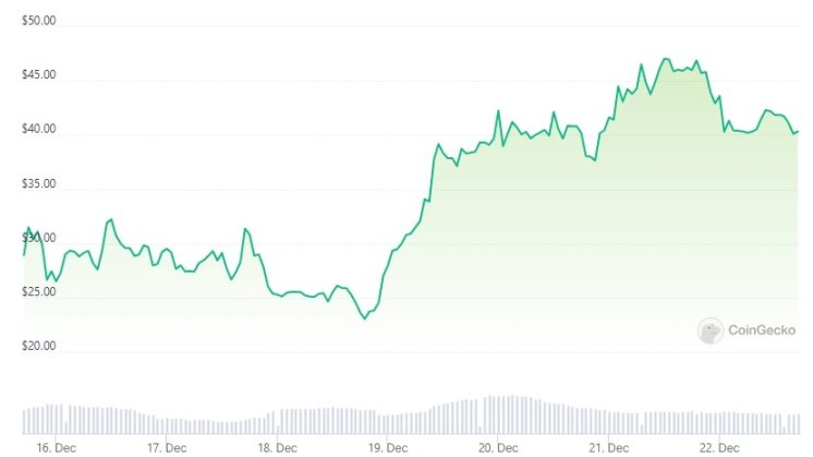 速覽狂奶大V「Kay神」語錄與推薦項目表現