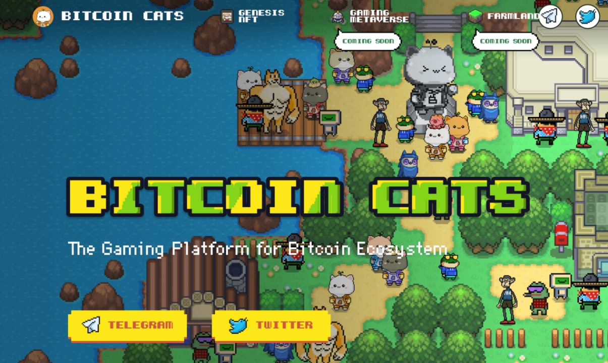 Bitcoin Cats IDO 超募 1 亿美元后，还有哪些值得关注的比特币链游项目？