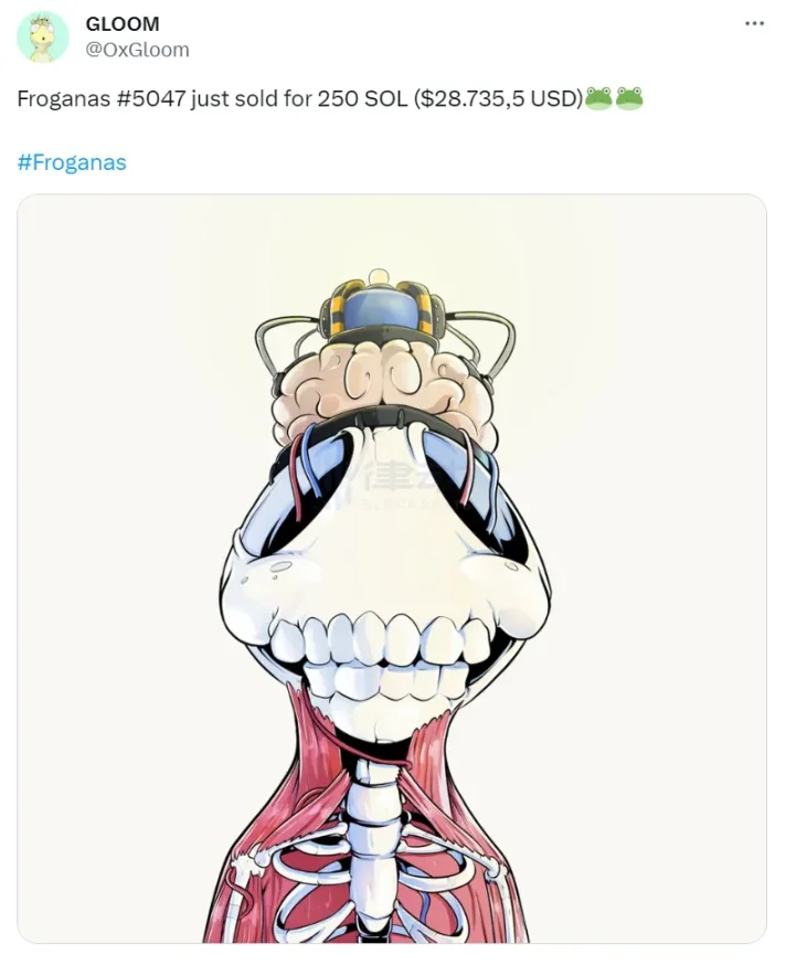 一度“夭折”，如今逆襲百倍的Froganas成Solana NFT新焦點