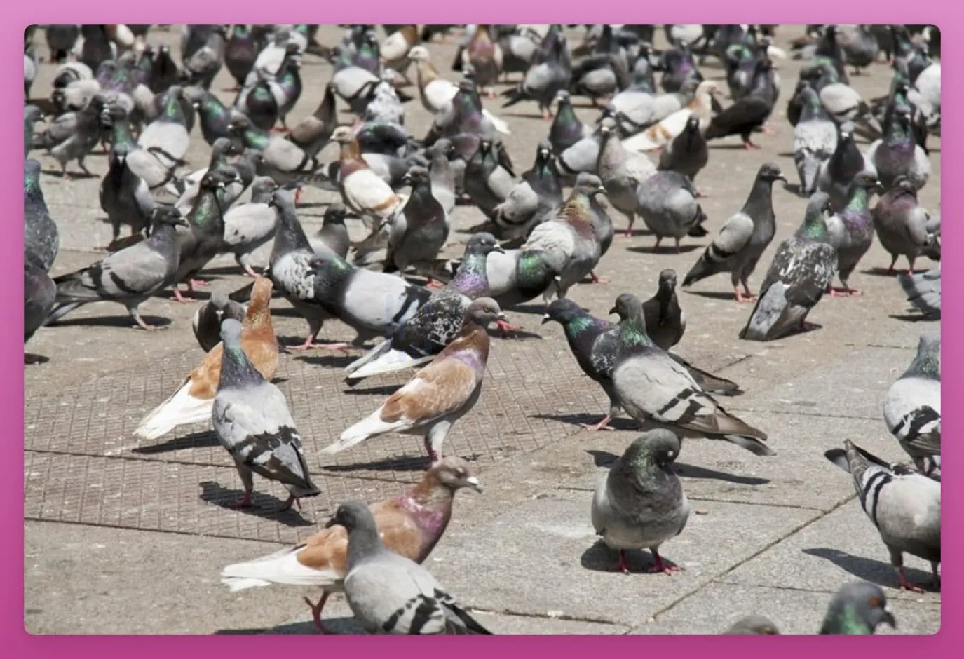 MakerDAO推出Spark Protocol，准备进军大热的LSD市场