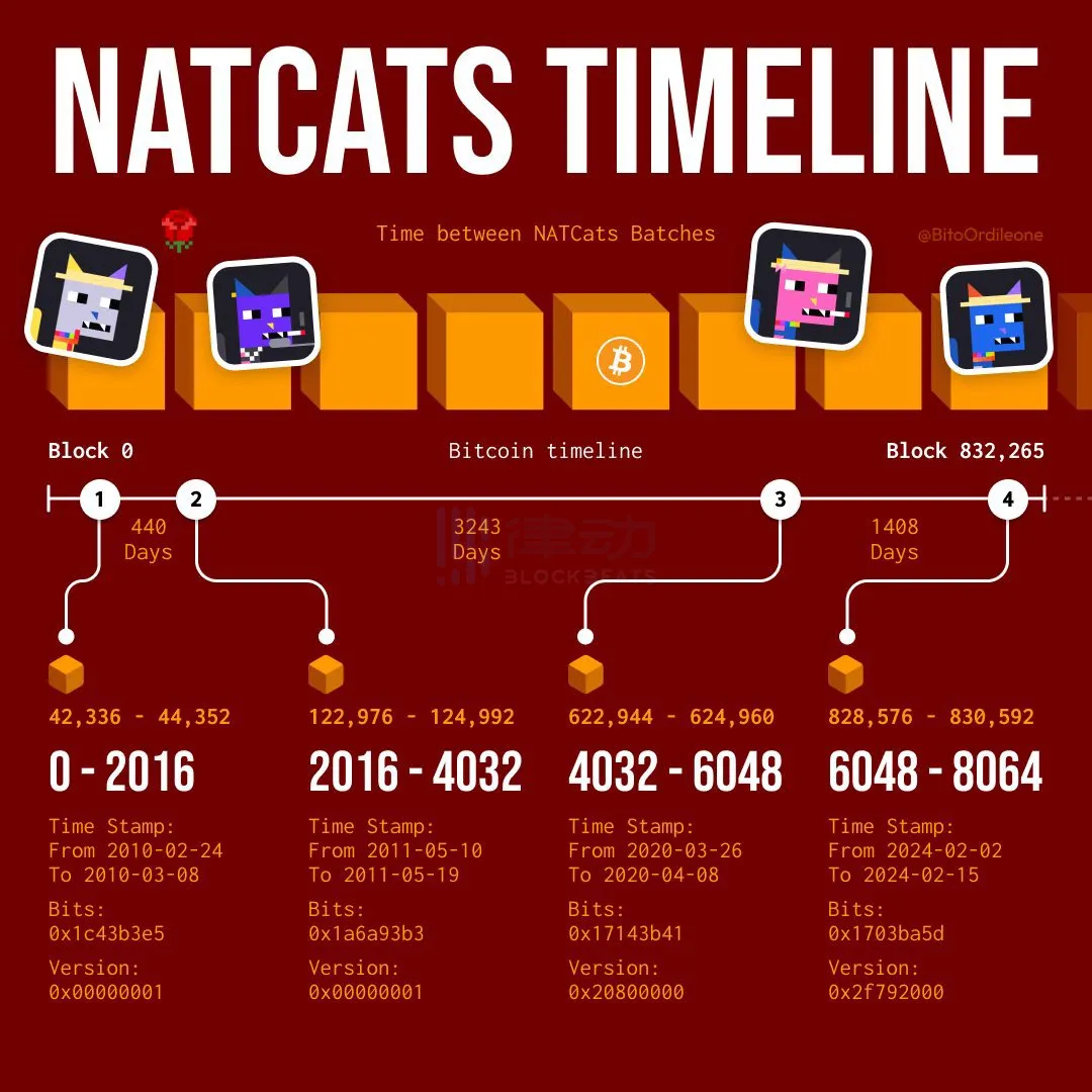 Natcats一周狂涨十倍，DMT小图片开启比特币NFT新叙事？