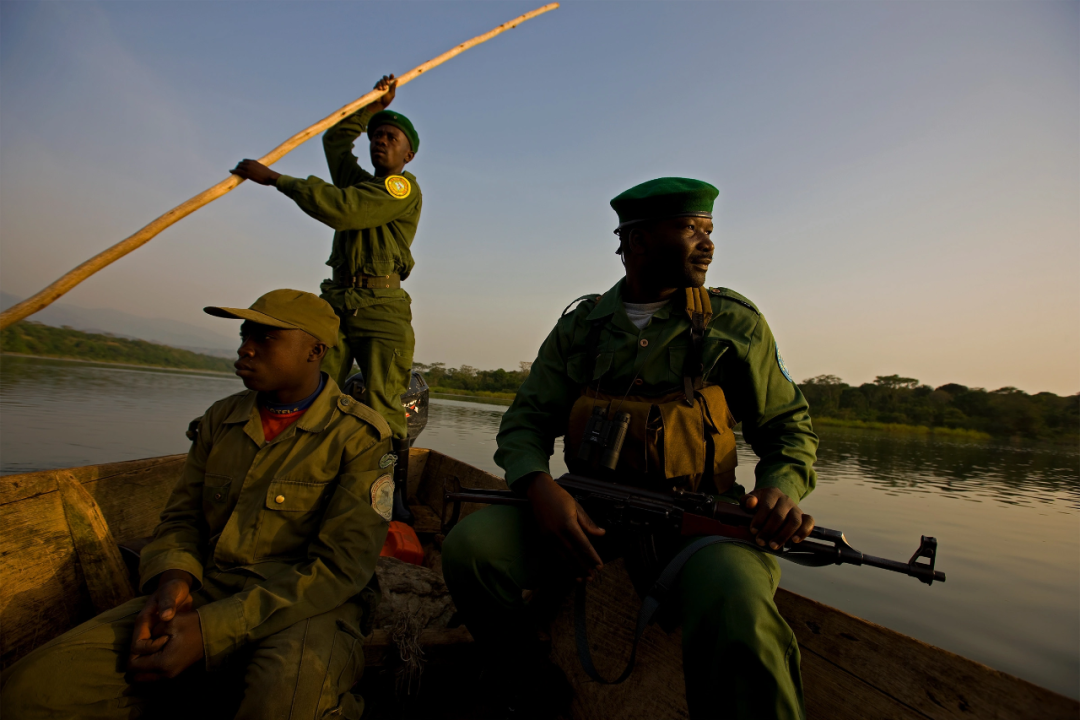 局勢混亂，戰火紛飛，比特幣如何成為剛果國家公園的“救世主”？
