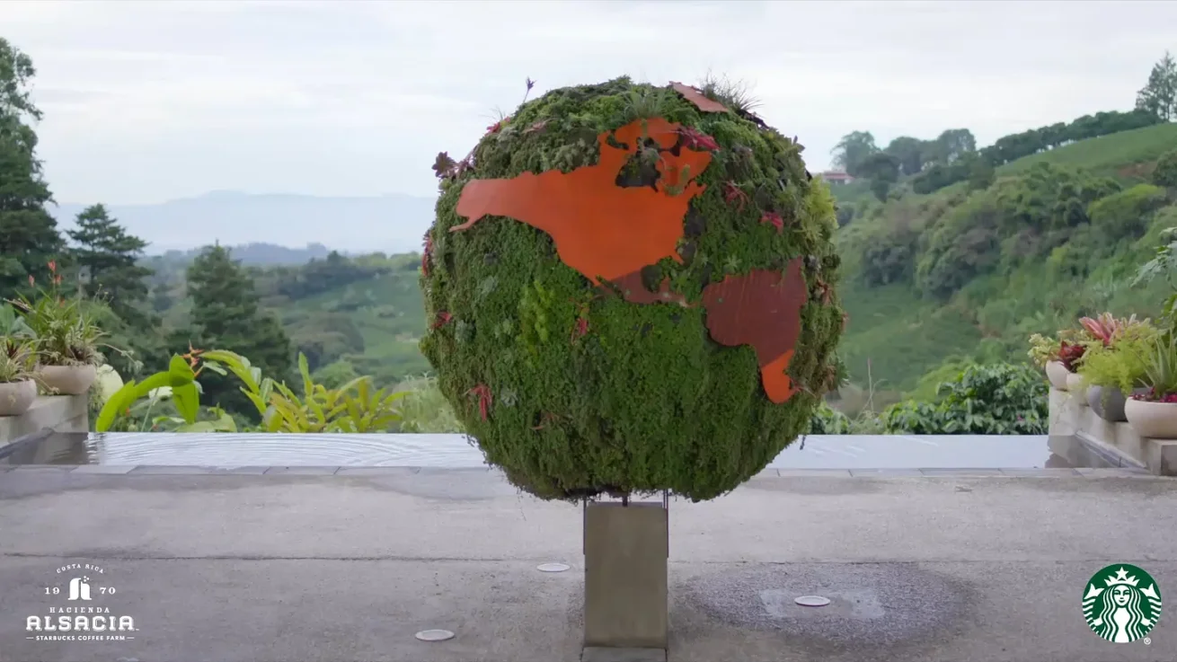 Joe O'Rourke的跨界启示：从传统行业到Web3，如何一步步实现？