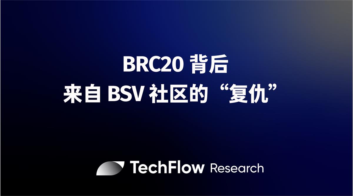 BRC-20應用竟是BSV社區的“特洛伊木馬”？