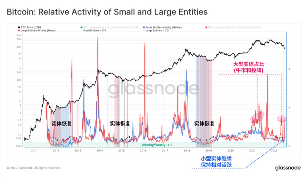 Glassnode研究：比特币“钻石手”压力增大，底部形成了吗？