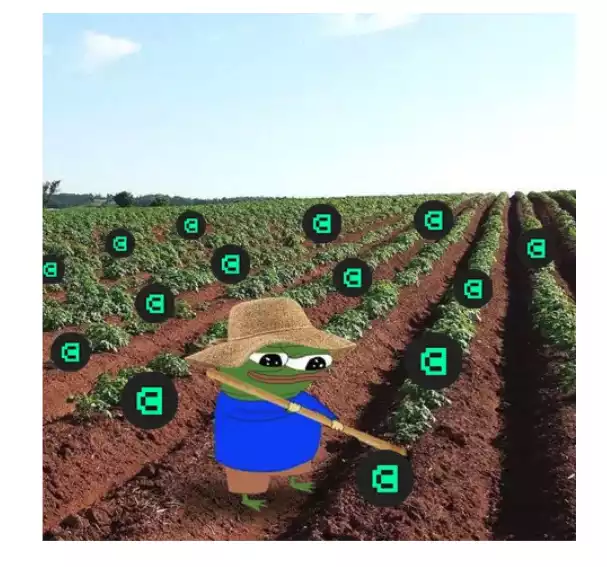 稳定币挖矿指南：新公链Canto生态有哪些“富矿”？