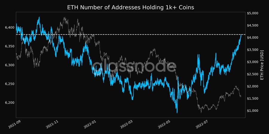 数据：持有超过1000枚ETH的地址创下10个月来新高