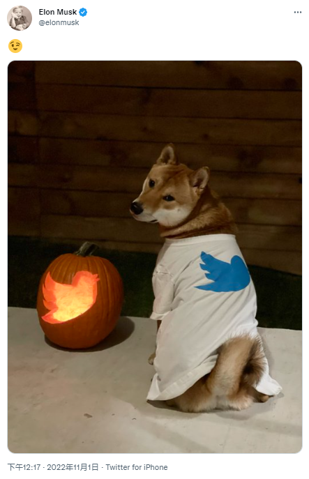 馬斯克發布穿著印有推特Logo衣服的柴犬照片，DOGE 24H漲幅超15%