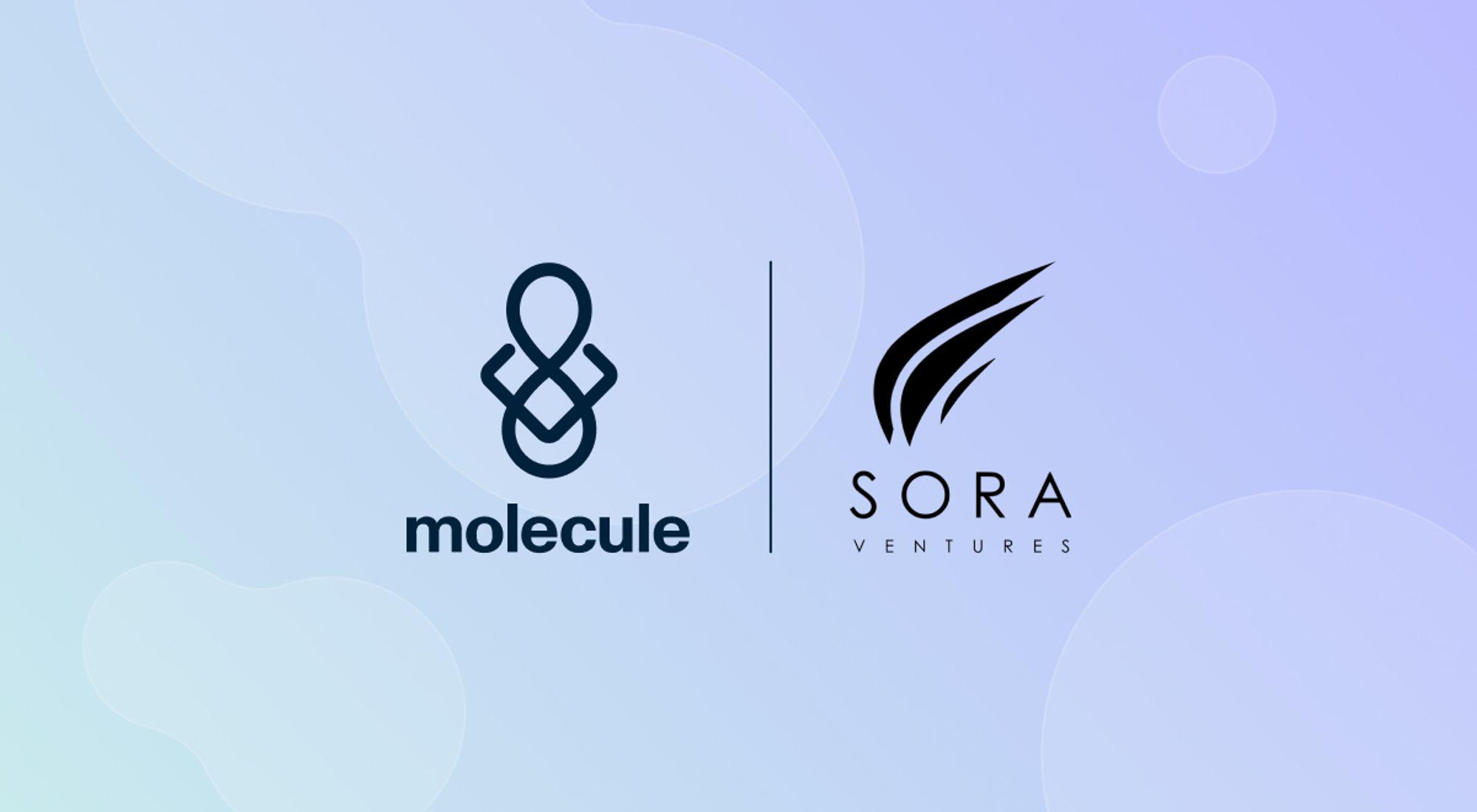 DeSci项目Molecule获Sora Ventures 100万美元战略投资