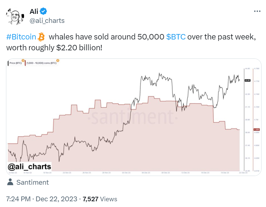 數據：鯨魚投資人一週內拋售約5萬枚BTC，價值超22億美元