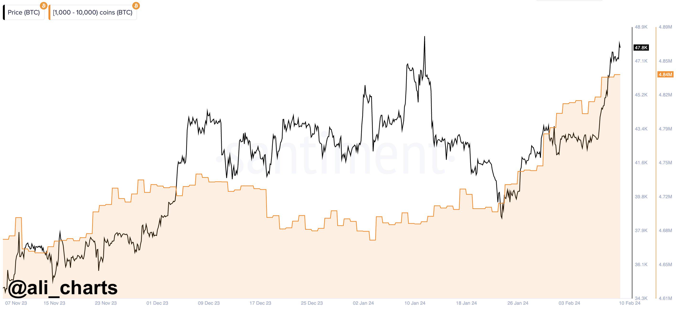 比特币鲸鱼在过去三周内购买了14万枚BTC