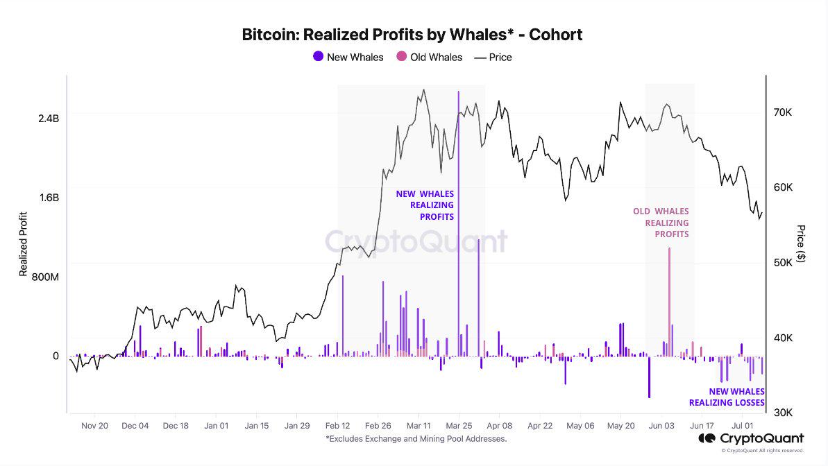 CryptoQuant研究主管：新比特币巨鲸在过去两周内的已实现亏损达10亿美元