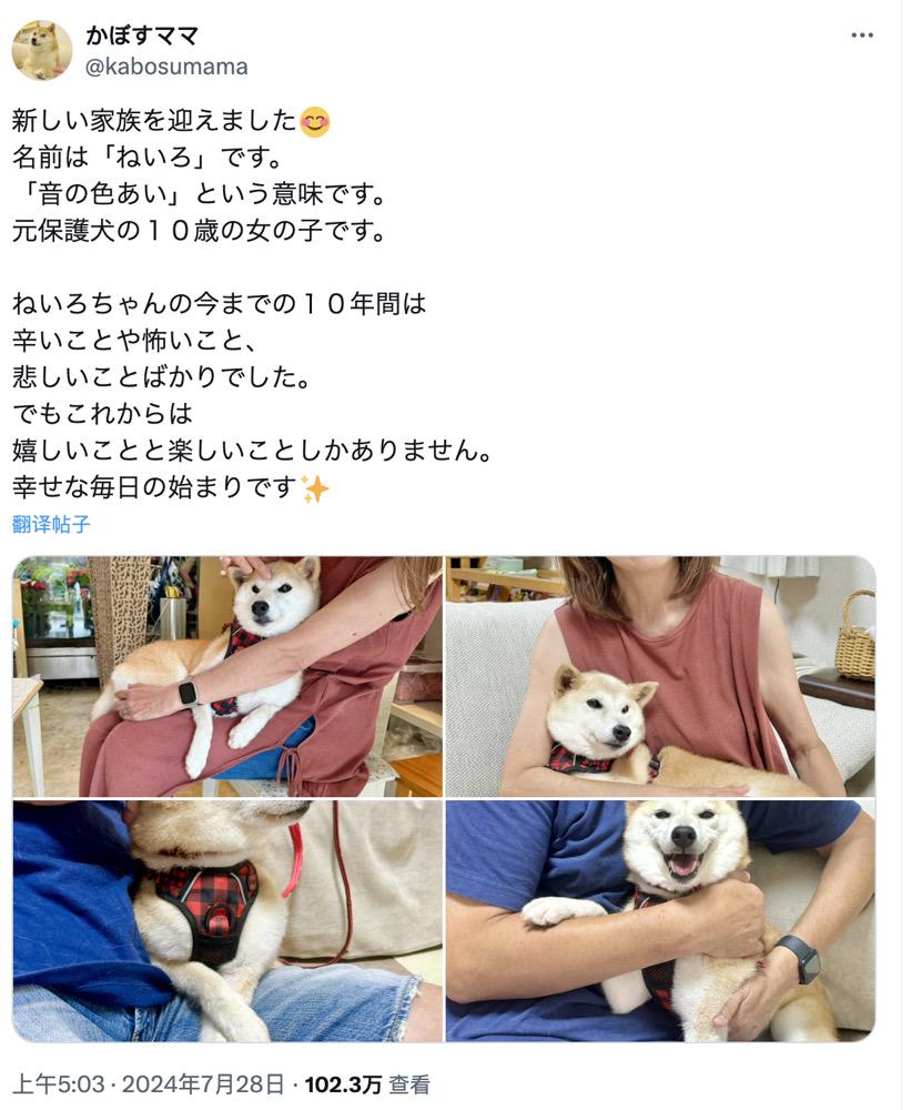 DOGE原型主人新宠「Neiro」爆火：多个同名MEME获数亿资金参与，未经授权遭「抗议」