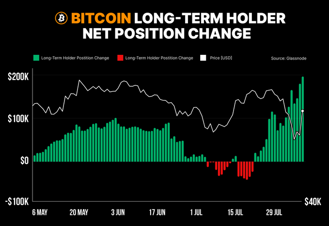 比特币长期持有者在最近市场回调期间购入超18.45万枚BTC