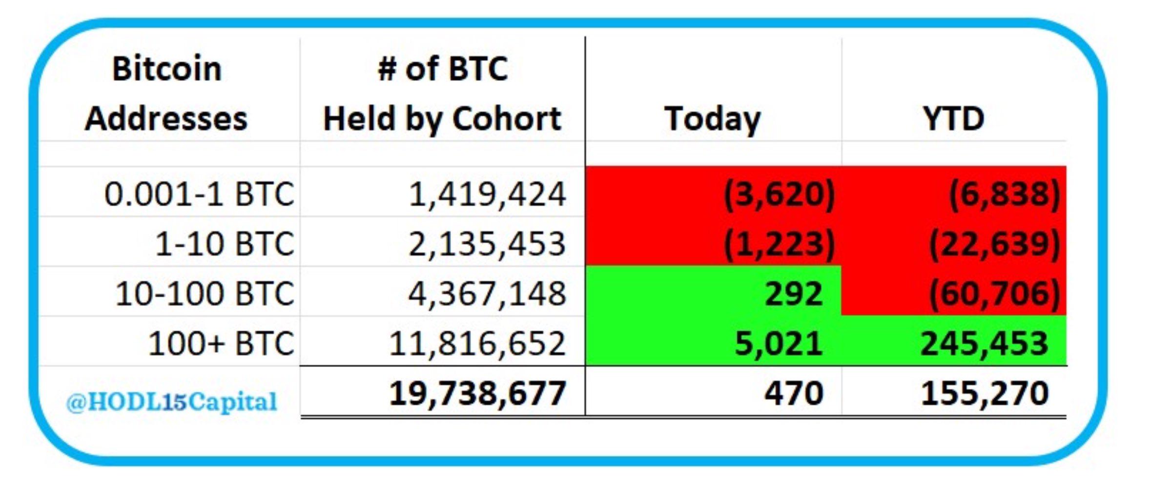 持有百枚BTC以上的地址年初至今累計增加245,453枚BTC