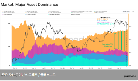 글래스노드 "비트코인 시장 점유율 56%...장기 보유자 매집 활동 유지"