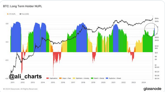 Analyst: Long-term BTC holders show signs of growing greed