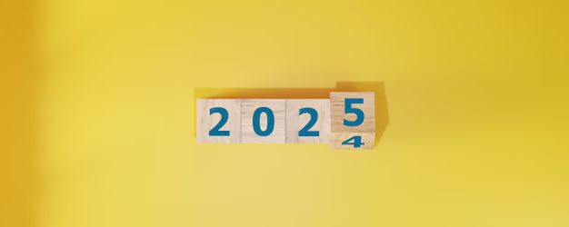 牛市狂想：2024年度總結與2025新年展望