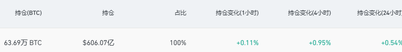 全網比特幣合約持倉小幅反彈，升至606.07億美元