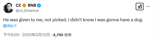 CZ: Broccoli was given to me by someone else. I didn’t know I would have a dog before.