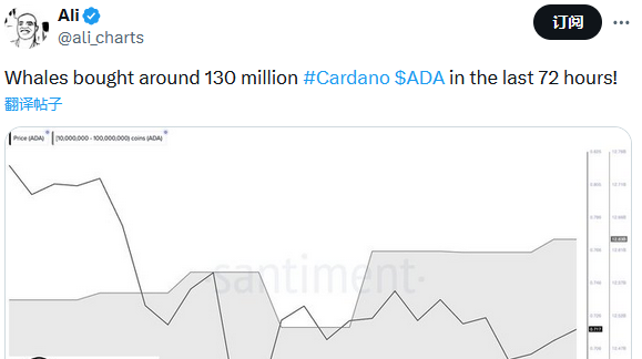 分析師：過去72小時鯨魚已買入約1.3億枚ADA