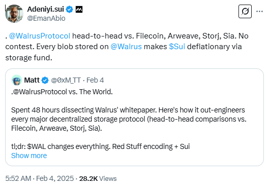 融资1.4亿美元的去中心化存储项目Walrus，将成为SUI生态的DeepSeek时刻？