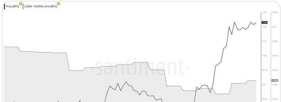 数据：过去48小时鲸鱼买入超2万枚BTC