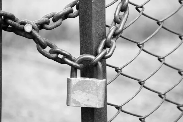 PoS staking removes regulatory shackles, US SEC declares these three types of activities do not constitute securities transactions