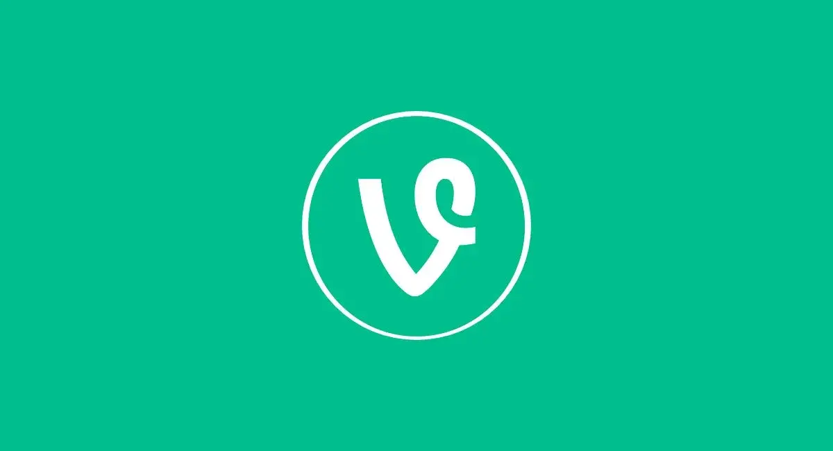 Will VINE, which Musk has repeatedly called for, change from a Meme to Imagine?