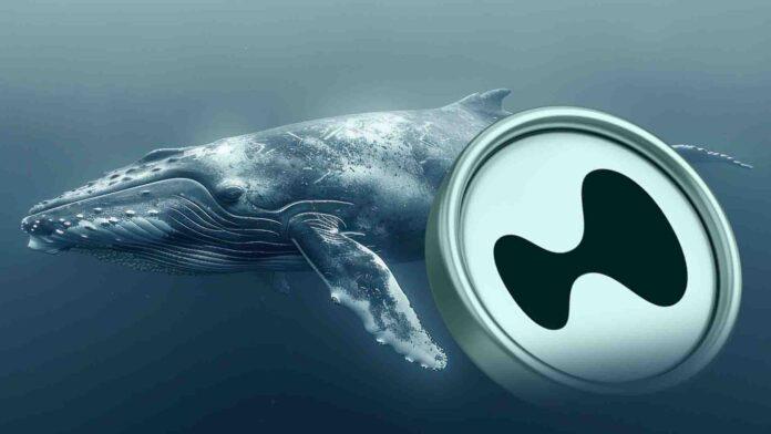 하이퍼리퀴드의 흥망성쇠: 어떤 이들은 하룻밤 사이에 솟아오르고, 어떤 이들은 강박관념으로 죽는다