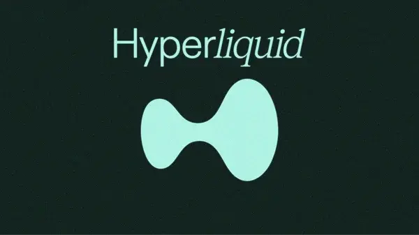 Hyperliquid将推出投资组合保证金，必杀技还是凶器？
