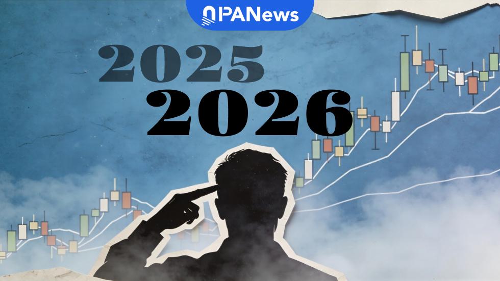 雾里看花：2025回顾与2026展望