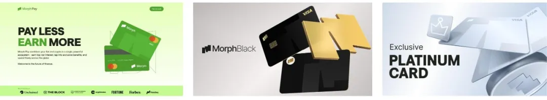What is the difference between Morph consumer-grade public chain in the PayFi track?