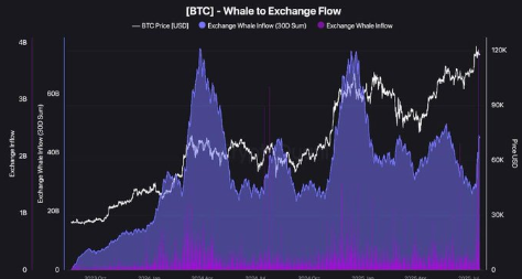 “Surge Trap”: Why Bitcoin may pull back 60% from its peak? Whales, macro and on-chain data are issuing warnings
