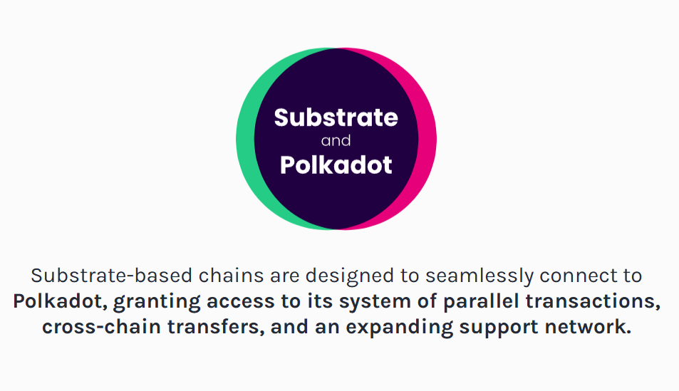 Behind the Code：Polkadot 如何实现全球协作与去中心化治理？