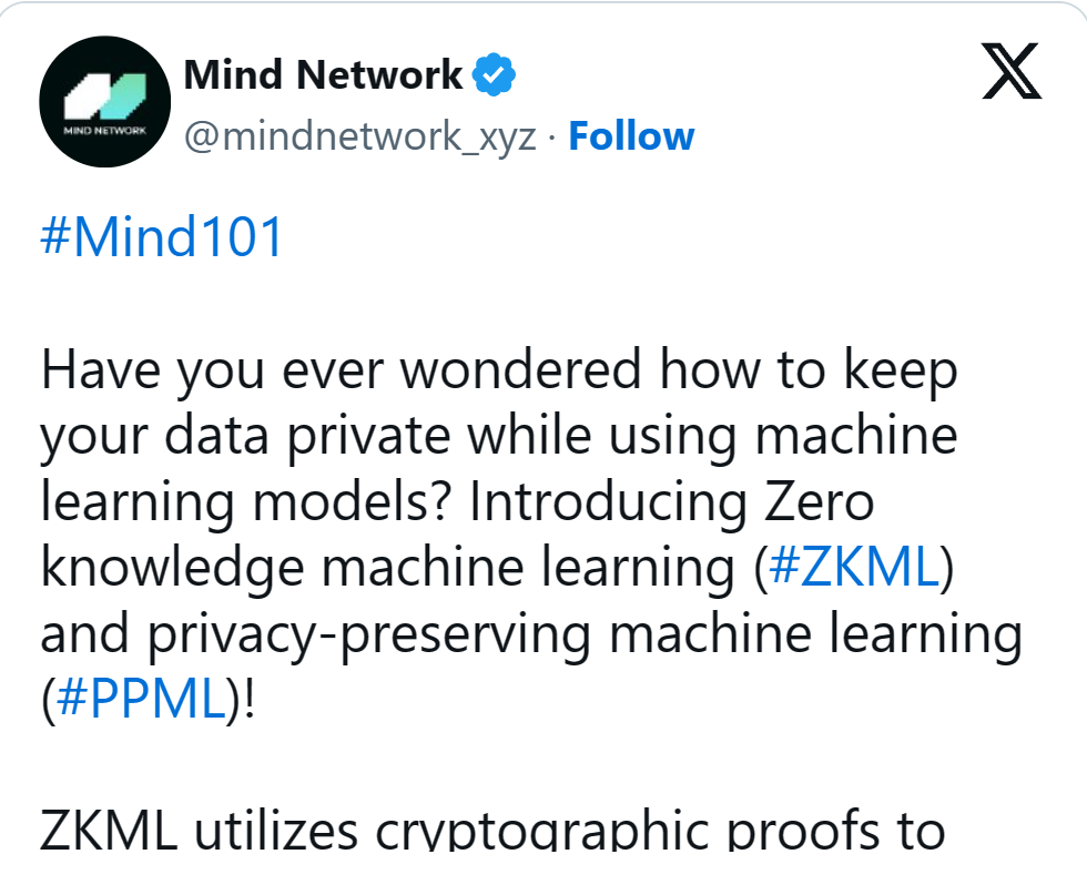 Mind Network - 一场迟来的访谈