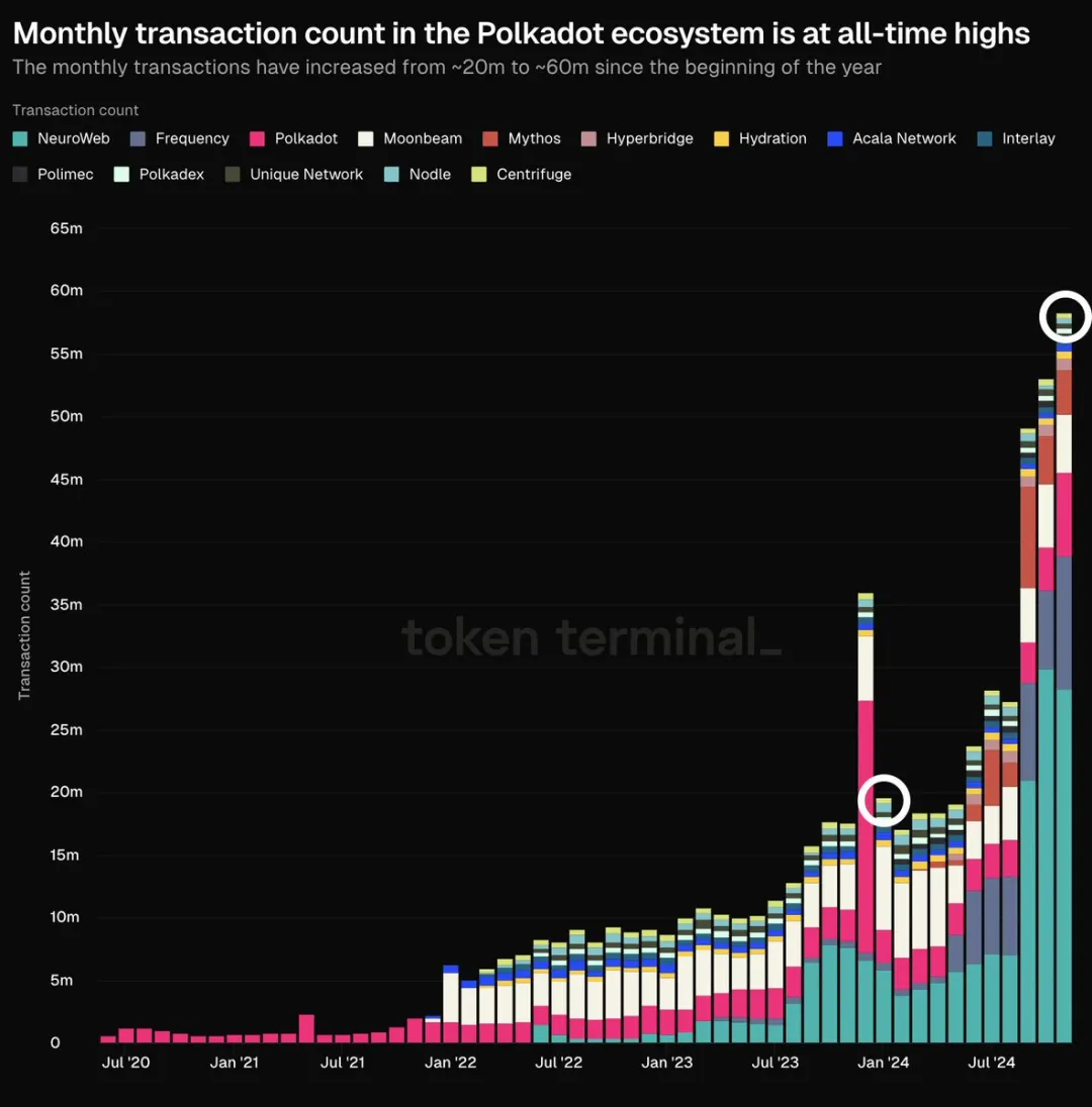 Polkadot 11 月生态月报：3900万交易量、69%增长率，技术与社区齐头并进