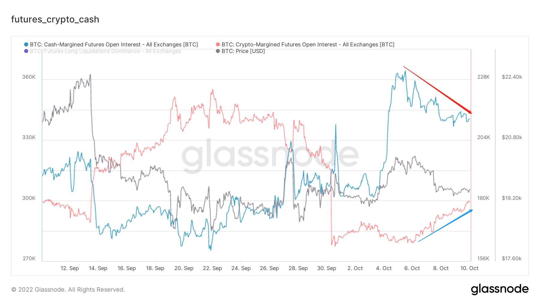 暮夜弥漫，柠月如风｜WTR 10.10