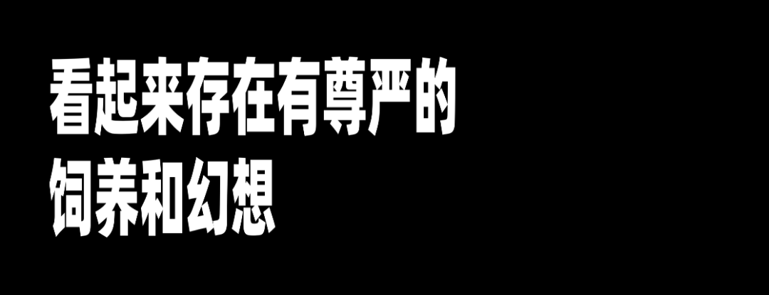 從字節離職，我選擇all in Web3