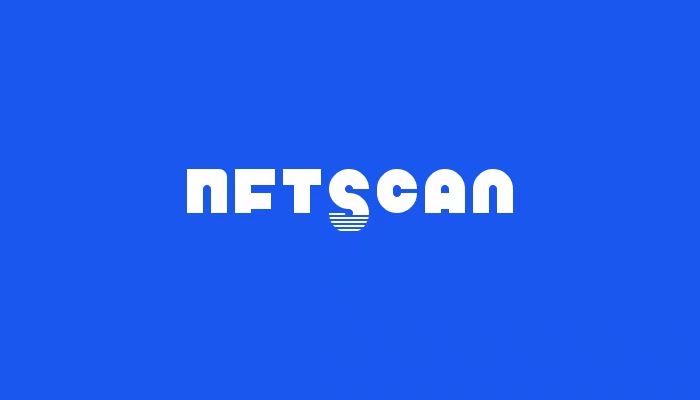 如何使用 NFTScan NFT API 追踪巨鲸钱包地址