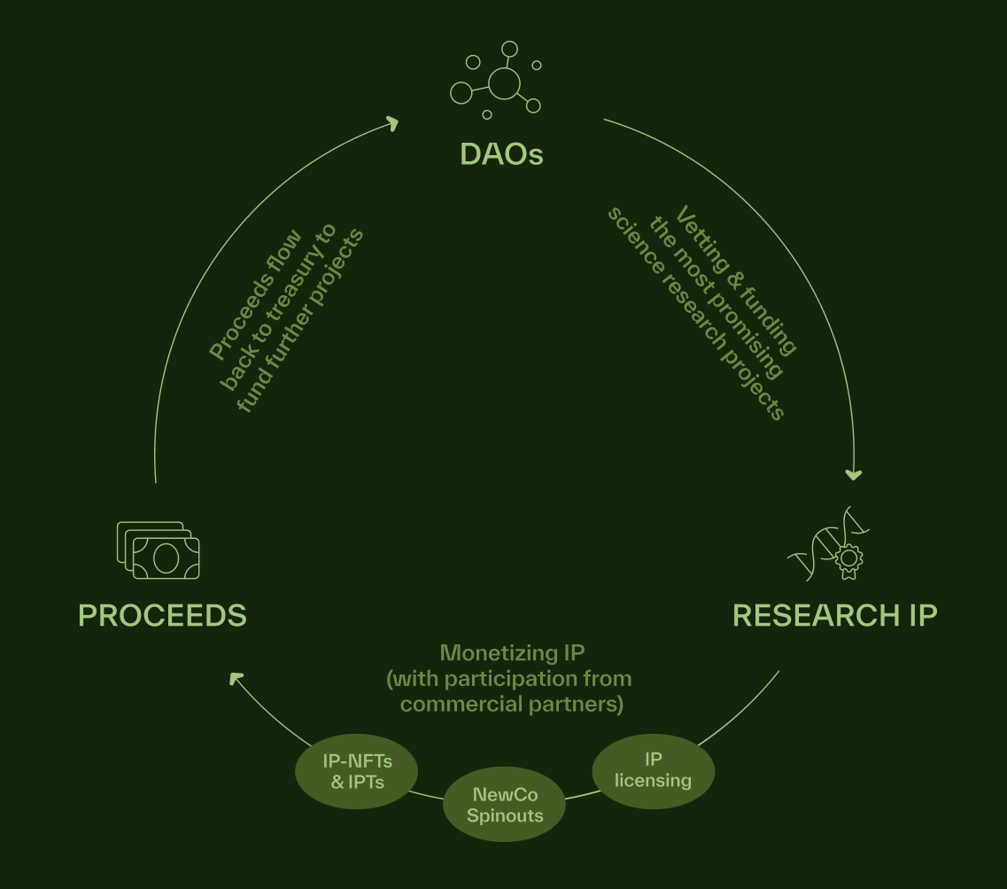 BIO Protocol深度研报：币安倾力支持的去中心化科学（DeSci）平台