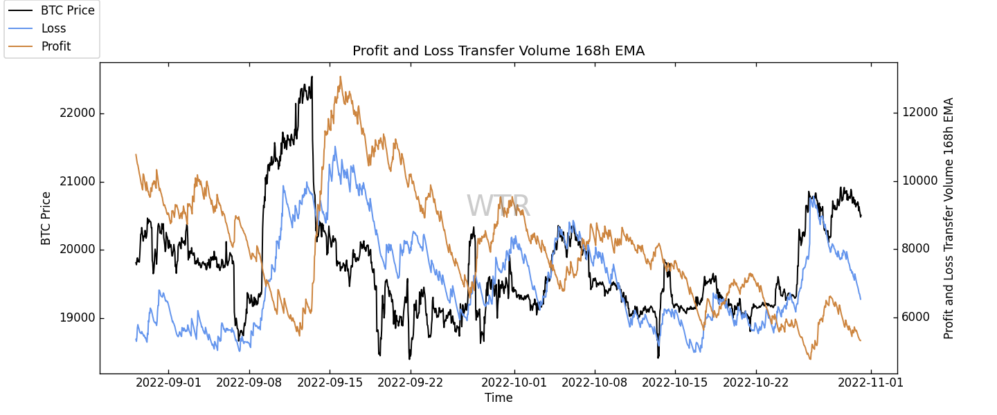 雲破月來，萬象為賓 | WTR 10.31