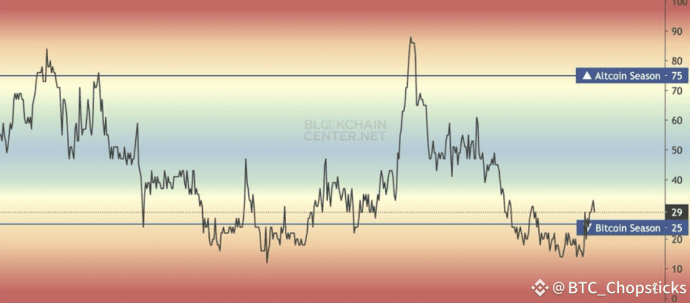 Dead cat bounce or bull market start? Key signals in one article
