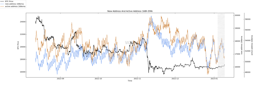 企者不立，跨者不行｜WTR 1.9 
