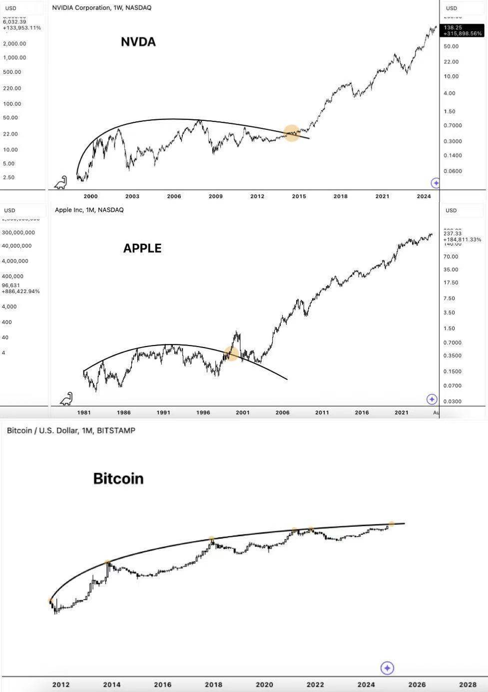 Institutional capital and the Bitcoin craze