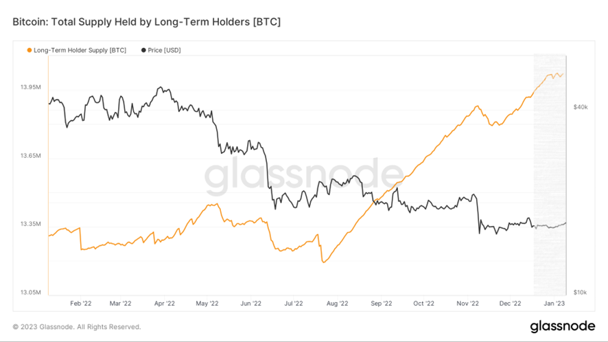 企者不立，跨者不行｜WTR 1.9 