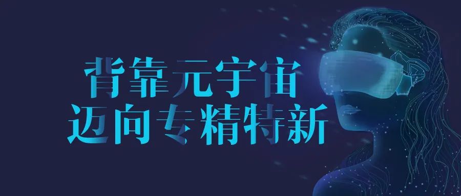 背靠元宇宙，迈向专精特新